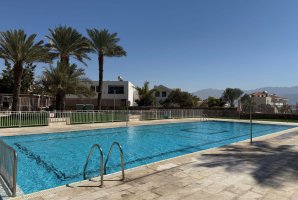 הדירה של דידי