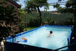 ארמון מלך האירוח